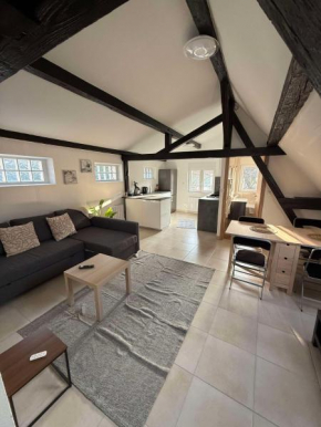 Apartment 50m2 Schiltigheim